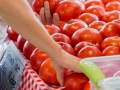 franklin-county-fresh-tomatoes