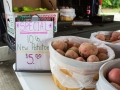 franklin-county-new-potatoes