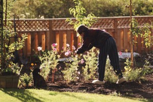 Gardening as part of your healthy living