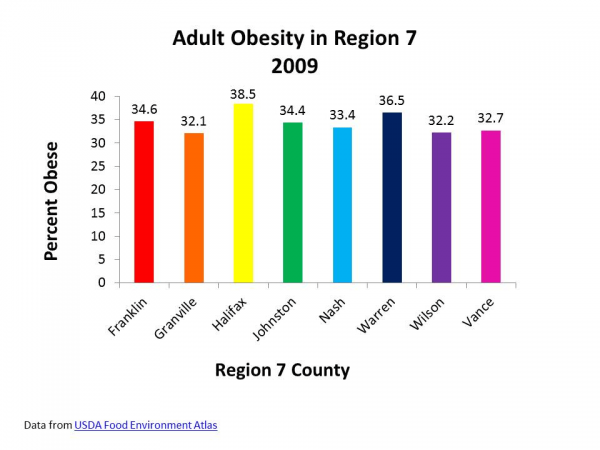 Adult Obesity in Region 7 - 2009